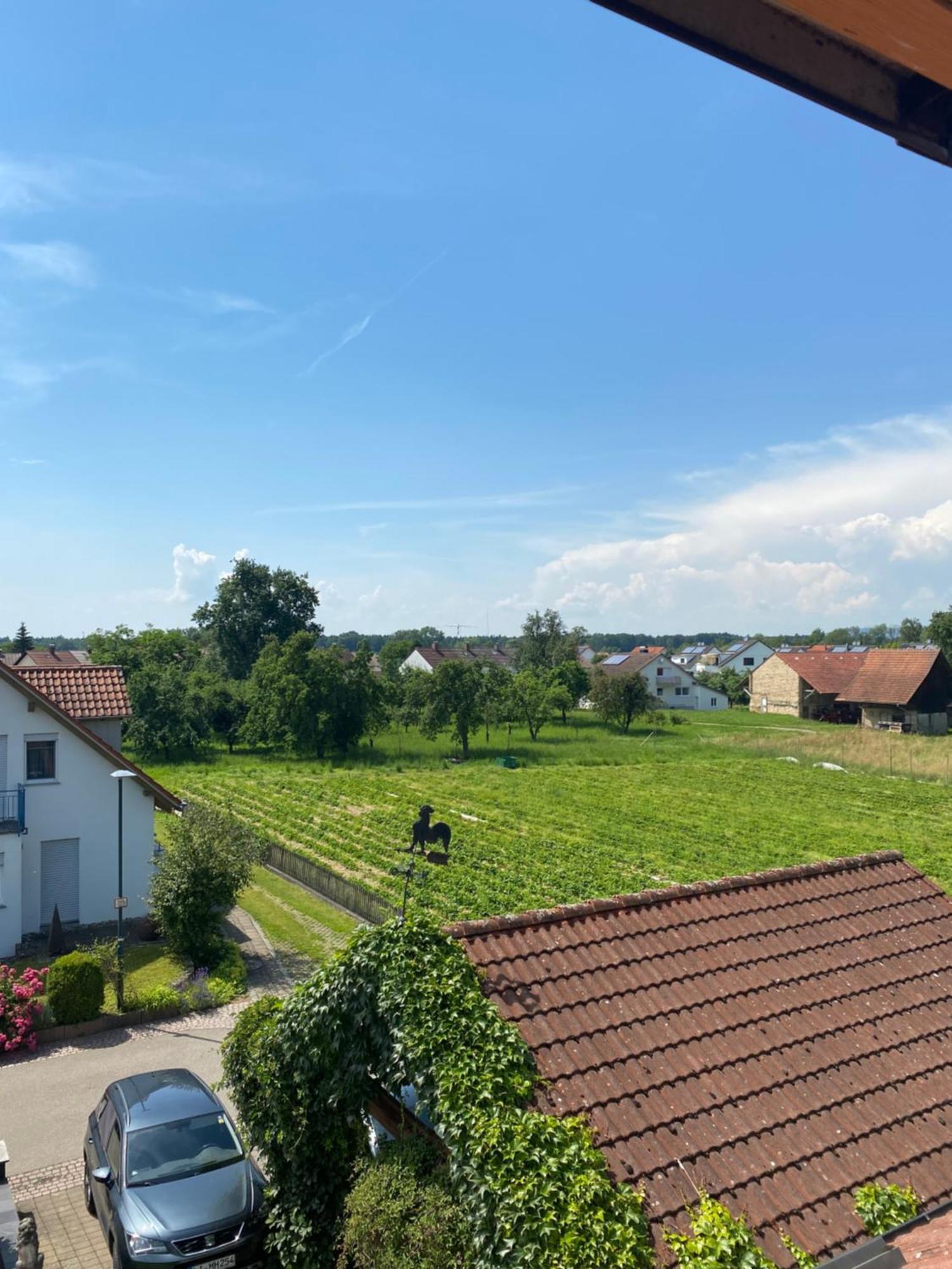 Apfelbluete * Eriskirch